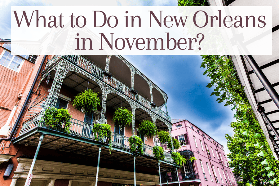 What to Do in New Orleans in November