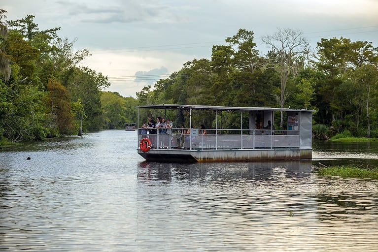 airboat swamp tours Louisiana